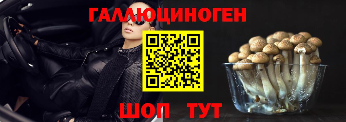 Псилоцибиновые грибы прущие грибы Шадринск